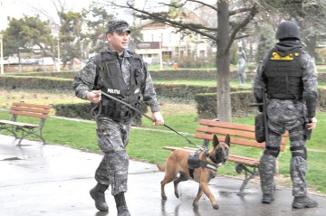 Poliţiştii constănţeni, demonstraţii cu câinii de urmă şi paradă auto-moto